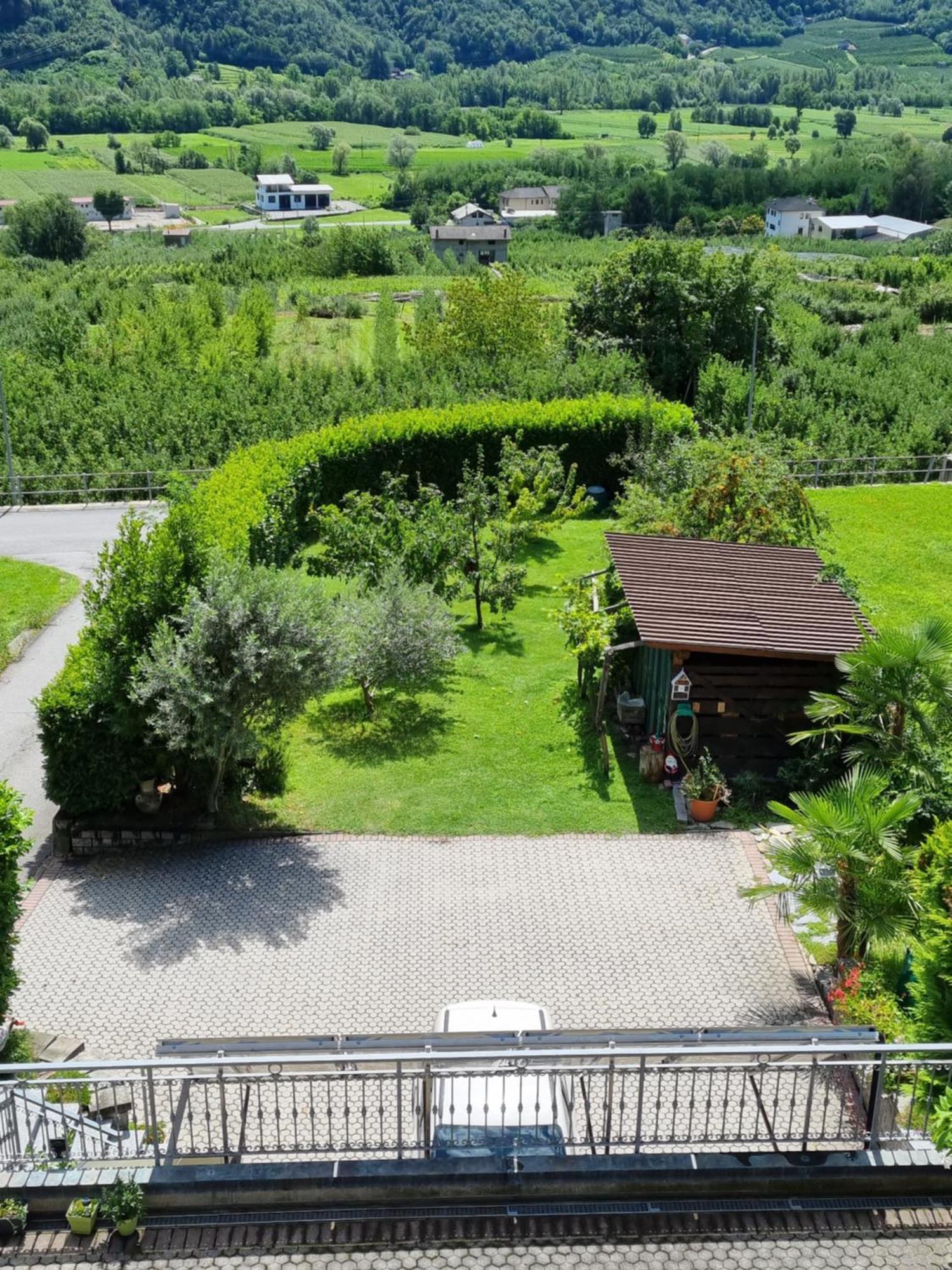 B&B Il Grappolo Bianzone Exteriör bild