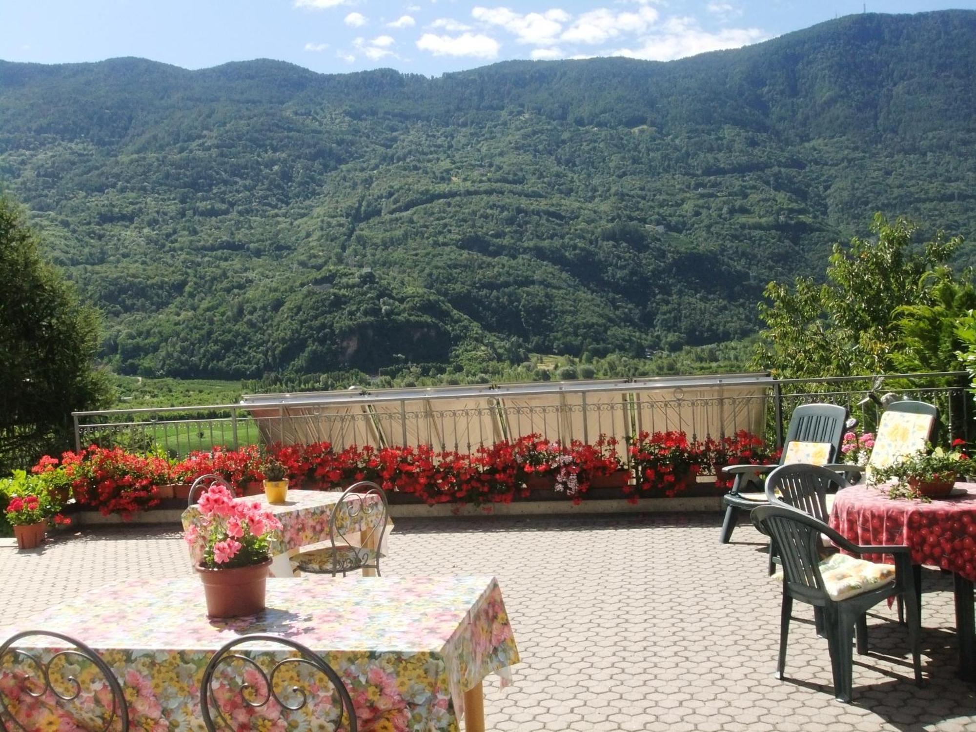 B&B Il Grappolo Bianzone Exteriör bild