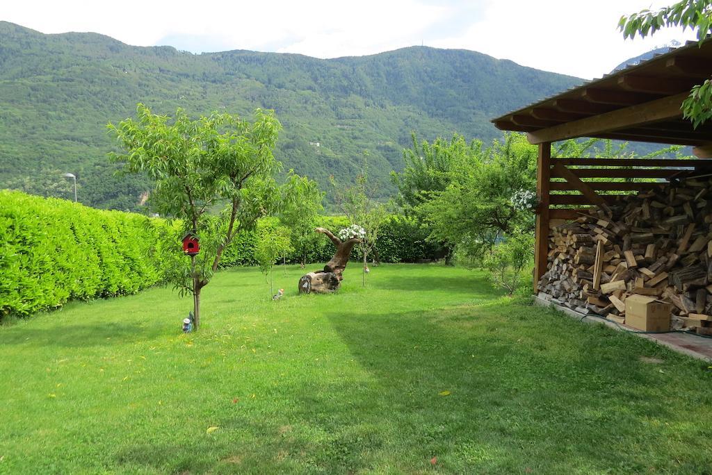 B&B Il Grappolo Bianzone Exteriör bild